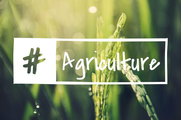 2047 | Khabrain Hindustan | विकसित कृषि अर्थव्यवस्था | भारत |