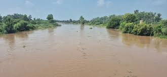 घग्गर नदी | Khabrain Hindustan | सिरसा | बाढ़ का खतरा | 1200 एकड़ फसल डूबी |