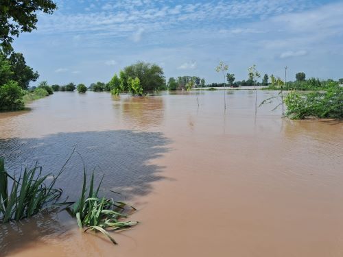 घग्गर | Khabrain Hindustan | बाढ़ इतिहास | 173 साल में 18 बार तबाही |